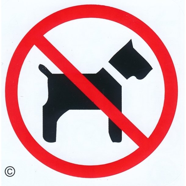 Hund forbudt - 57x57 mm selvklbende plast - leveres i bdt a 10 stk