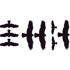 Ark med 8 skrmmefugle  